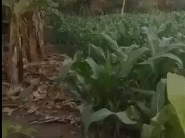 #0426 - Terreno para construcción para Venta en Ciudad de Guatemala - Guatemala - 1